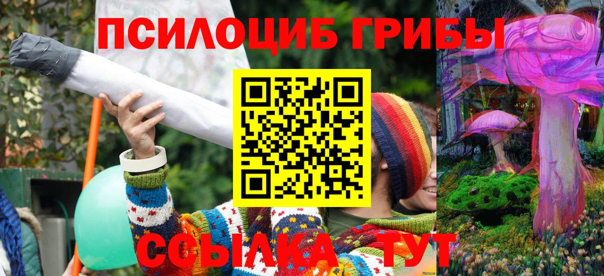 Лабытнанги  Галлюциногенные грибы Psilocybe  Псилоцибиновые грибы мицелий  Вход с VPN 